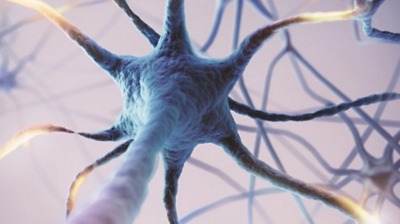 Neuroscience Brain Cell